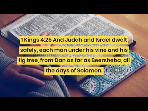 186-2. Christ who will make us live in peace under the fig tree (Jn 1:45-49)