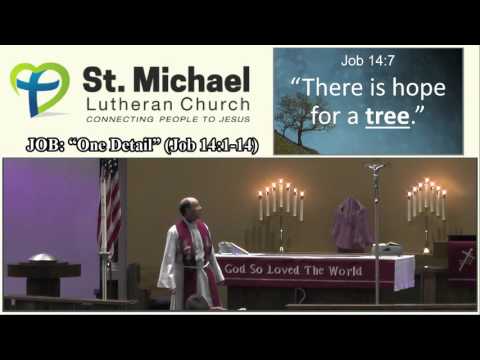 JOB: “One Detail” (Job 14:1-14)