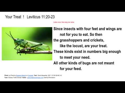 Leviticus 11:20-23   Your Treat