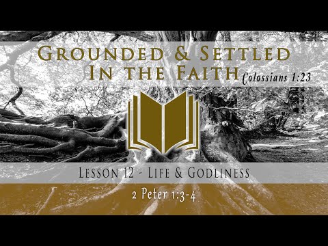 Life & Godliness: 2 Peter 1:3-4