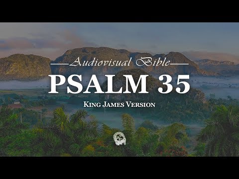 Psalm 35:1-28 King James Version (KJV)