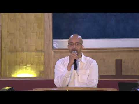 Jesus and the "Shaky" Shepherds (John 10: 11-13)