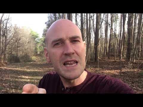 WHAT IS GOD SAYING? (John 21:22)