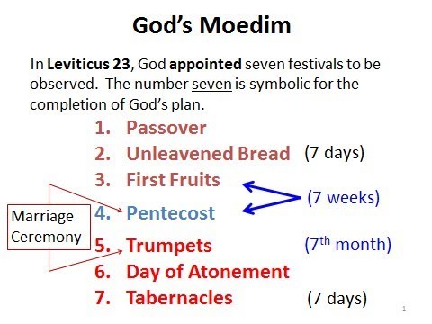 The Biblical Calendar to Prophetic Events -  Leviticus 23:1-44 (7 - 14 - 2019 - Sunday)