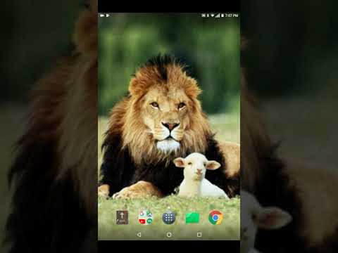 RE: Romans 10:9 and Isaiah 29:13 dont get it twisted