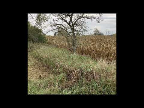 Coffee Break (5 Minutes with God) Psalm 66:13-20