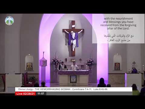 Divine Liturgy - THE HEMORRHAGING WOMAN ; Corinthians 7:4-11,  Luke 8:40-56.