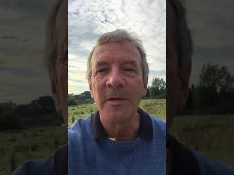 Daily Devotional Mark 12:36 “Whose Son is Jesus?”