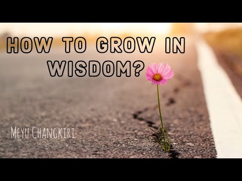 HOW TO GROW IN WISDOM? | Ways to becoming a wiser person | Proverbs 2:9, 10