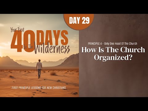 Day 29: How Is the Church Organized? | Your First Forty Days in the Wilderness