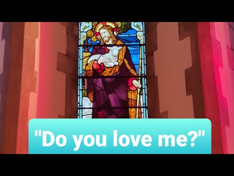 Today's Holy Gospel: homily and reflection: John 21: 15 -19 (29/05/2020)????????????