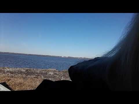 1 Samuel 2:1-10, KJV