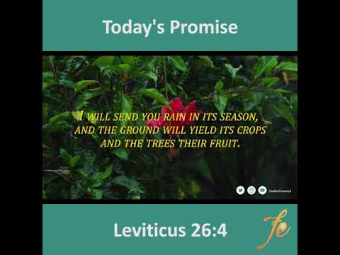 Today's Promise (Leviticus 26:4) English