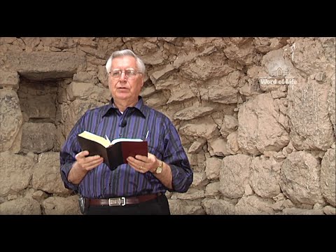 I Samuel 30: 21-25 –David Recovers All From the Amalekites - D. Wendel Cover and Ari Bar David