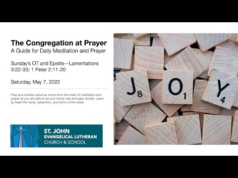 Sunday’s OT and Epistle—Lamentations 3:22-33; 1 Peter 2:11-20