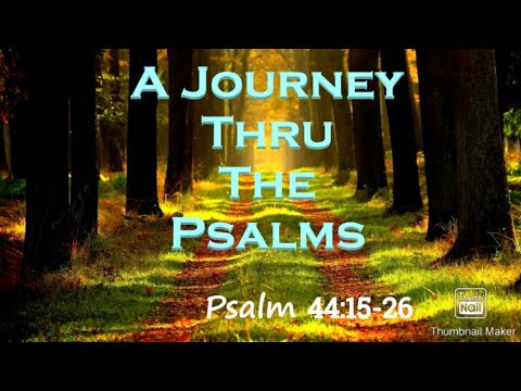 A Journey Through The Psalms (Psalm 44:15-26) For Thy Sake We Are Killed, Sheep For The Slaughter