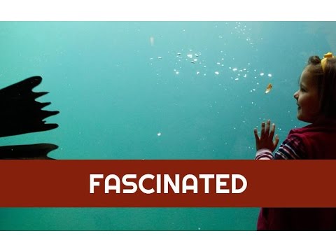 Fascinated - Matthew 19:13-26