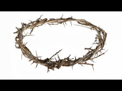 Passion Week - Monday - Matthew 21:12-17 - 6/6/20