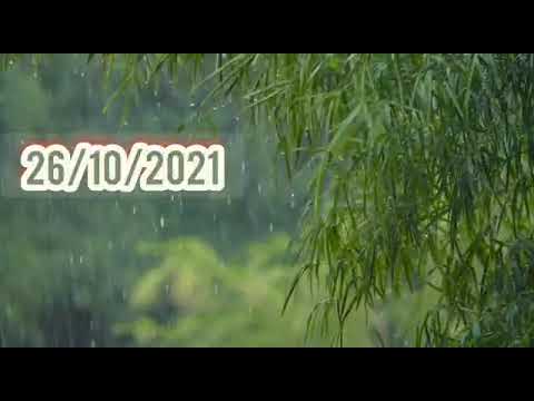 Today's WORD - [PSALM 55:22] | "Namm Yella Baarathaiyum Sumakum KARTHAR" | 26/10/21