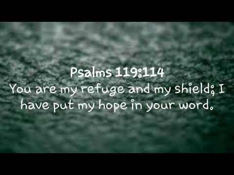 Psalms 119:114