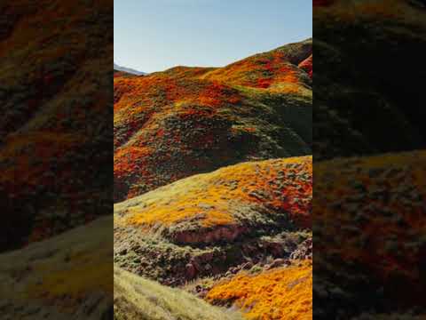 Jeremiah 25:1-38 NKJV