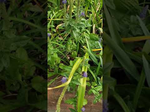 Proverbs 8:17(I love those who love me, and those who seek me find me)