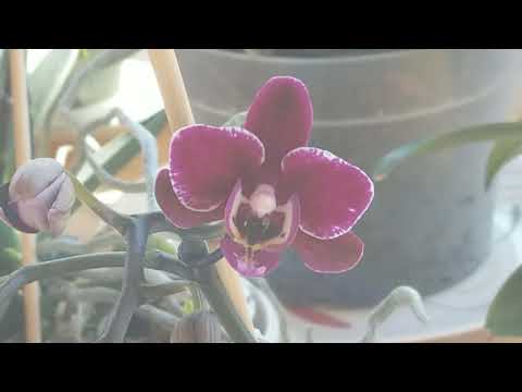 Read the Bible Through Series! Day 5: John 4:46 - John 5:30