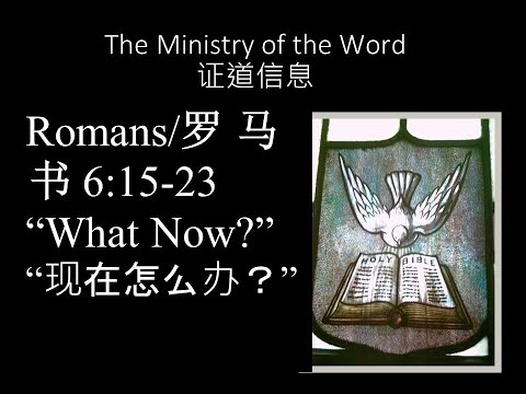 Romans 6:15-23, What Now?