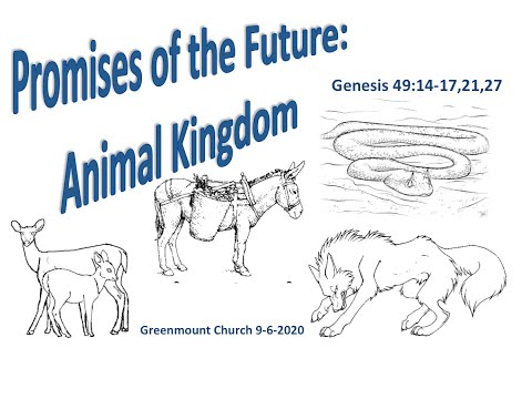 Promisesof the Future: Animal Kingdom - Genesis 49:14-17,21,27