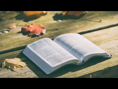 Morning prayer requests/devotions! Scripture of the day:Mark 10:26-31 Surrendering All! ????????