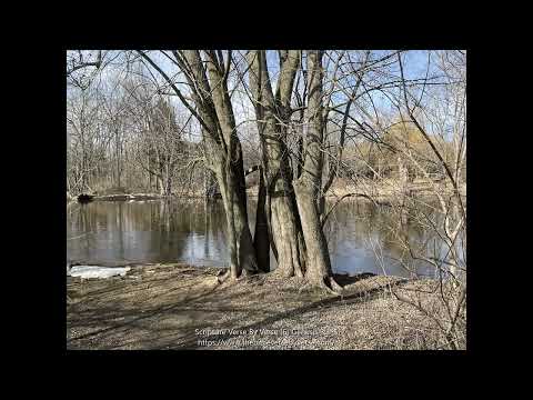 Scripture Verse Verse(6) Genesis 3:1-6