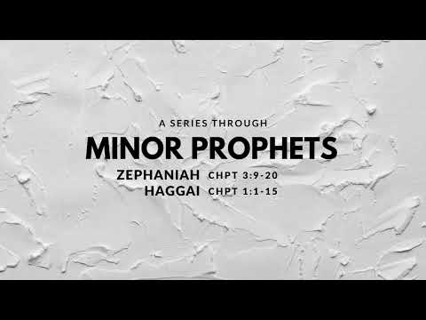 Minor Prophets – Zephaniah 3:9-10 / Haggai 1:1-15