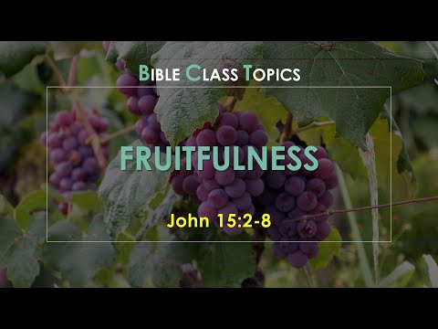 Fruitfulness - John 15:2-8