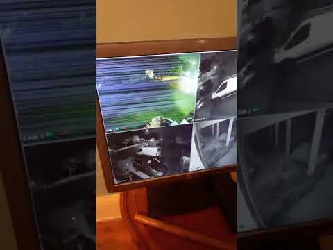 Psalm 101:8 I will destroy all the wicked of the land; That I may cut off all wicked doers from...