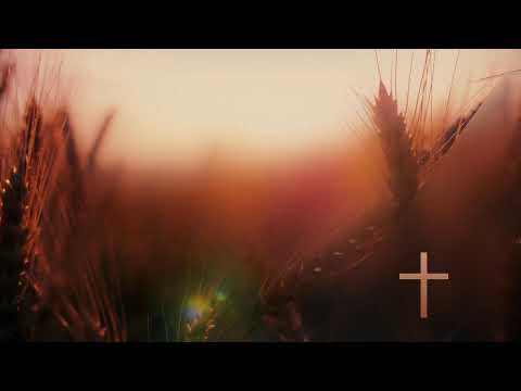 "Counter Intuitive Commands"- 2/20/22-Pastor Roy Smith-Luke 6:27-38