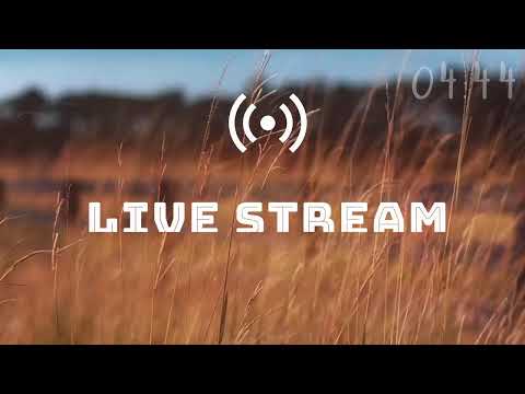 Maintaining a Conscience Void of Offence I Acts 24:16 l  Ps Ronald Kalifungwa | 12th June 2022