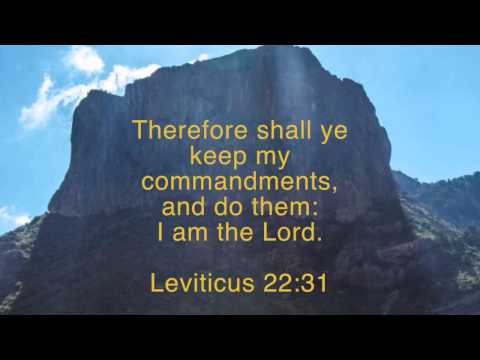 Leviticus 22:31 KJV Children's Red Cycle 1 Bible Drill