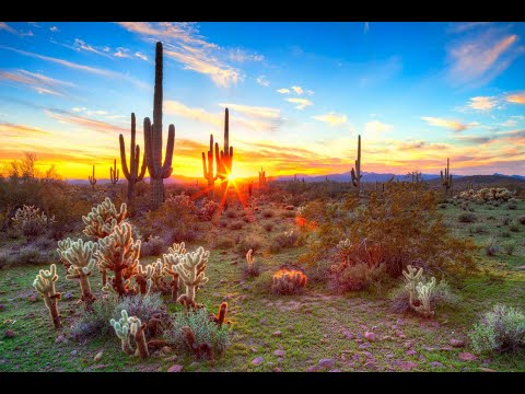 Scripture Verse By Verse (6) Gospel of Mark 12:18-34