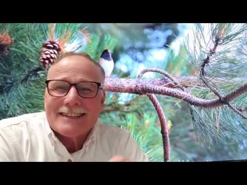 FEAR NOT: Day 7. Luke 5:10.  “Do not be afraid; from now on you will be catching men.”