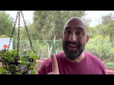 Take No Gold or Silver…Matthew 10:9-10