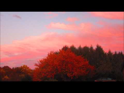 "A Changed Man" - Habakkuk 3:11-19