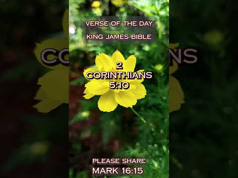 VERSE OF THE DAY - 2 Corinthians 5:10 #DailyScripture #BibleVerse #ChristianShorts #Scripture #Verse