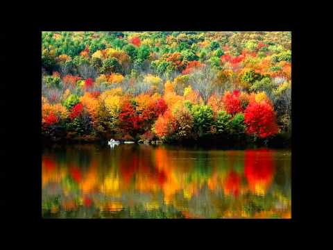 3/1/5 “The Messianic Revelation” Ruth 2:14-16