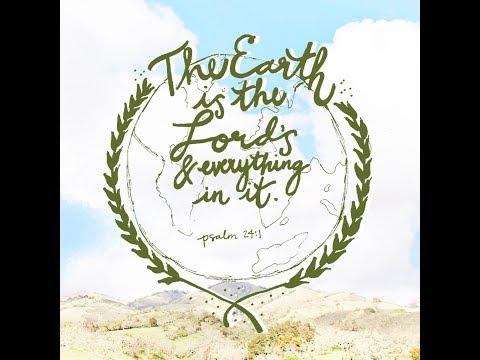 “In The Beginning: Day 5-6” Genesis 1:20-26