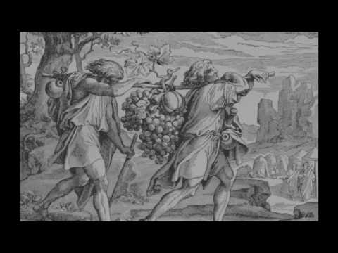 Shelach, Sefer Bamidbar (Numbers 13:1–15:41)