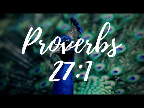 Proverbs 27:1 | Ignorance and Human Situation