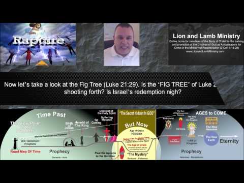 PreTribulation Rapture, Conclusion: Is the FIG TREE of Luke 21:29 now shooting forth?