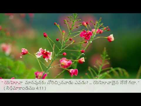 Exodus 4:11 Todays Bible Devotion