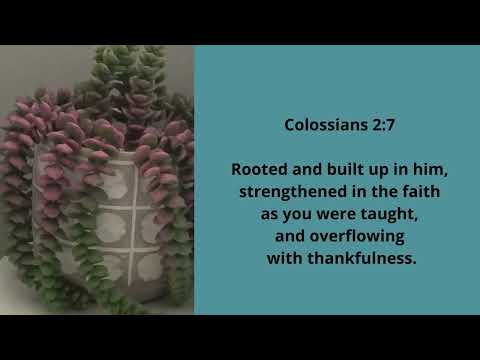 Overflowing With Thankfulness (Colossians 2:7)
