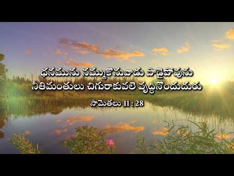 Wealthy will fall, Righteous shall flourish || నీతిమంతులు వృద్ధినొందుదురు || Proverbs 11:28